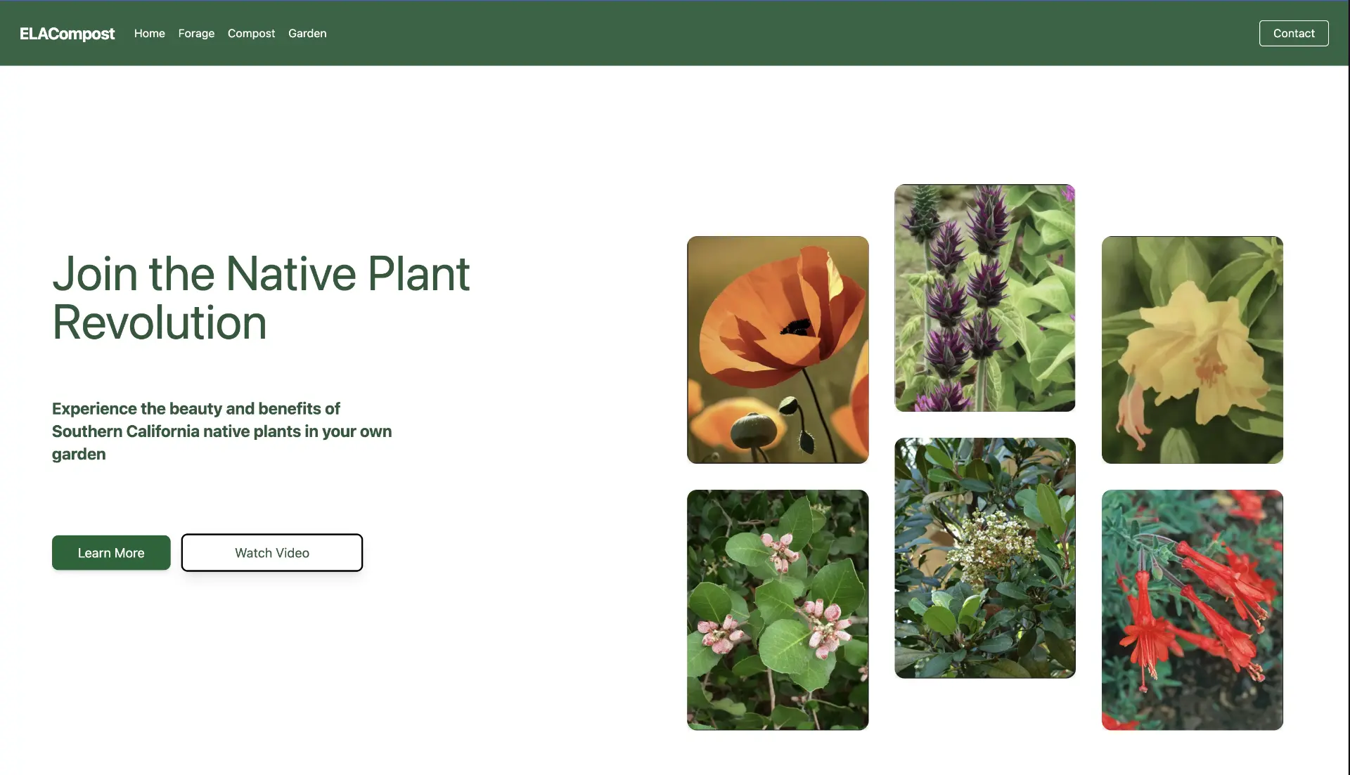 ELACompost thumbnail