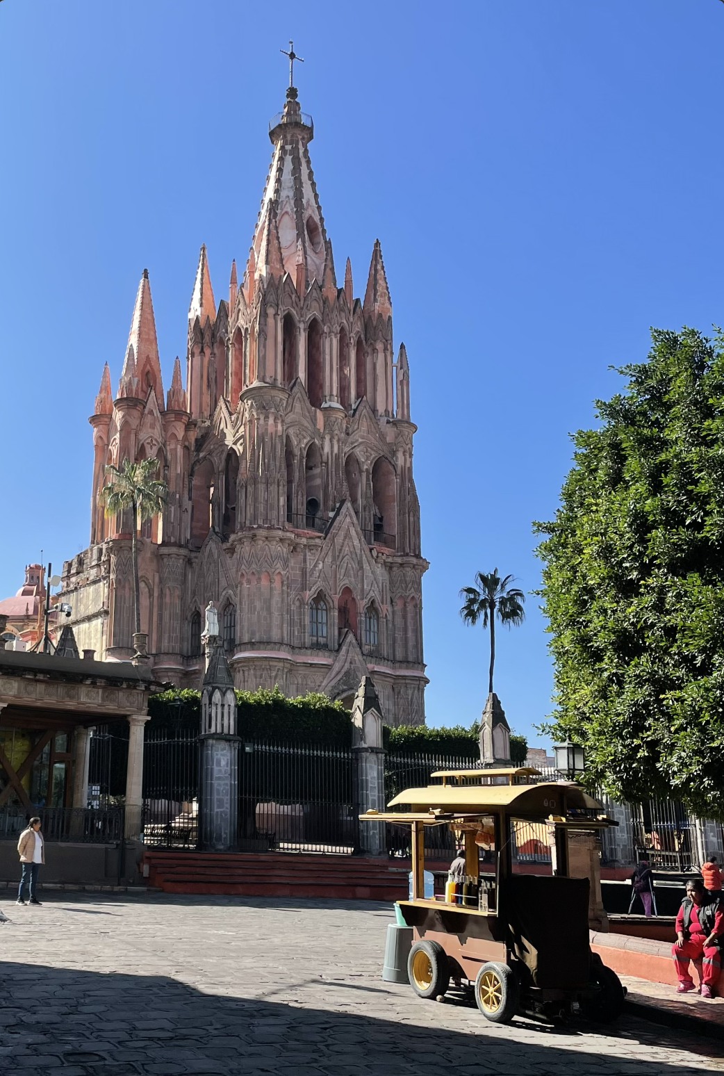 Local service website